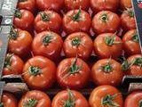 Круглогодичная поставка овощи-фрукты и др. проукты из Турции по приемлемым ценам