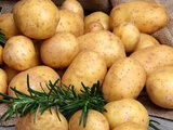Картофель/овощи оптом