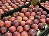 Яблоки оптом в Новосибирске от прямого поставщика