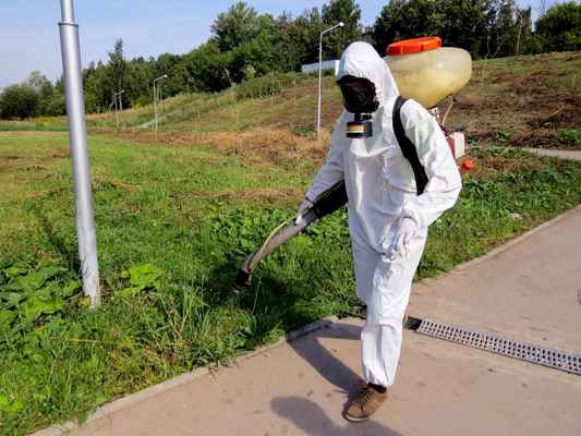 Фото объявления: Уничтожение клещей и комаров на участке противоклещевая обработка Лотошино в Лотошино