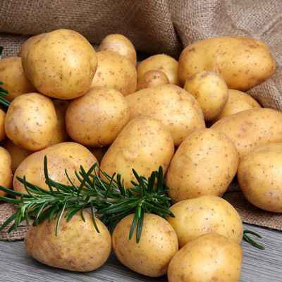 Фото объявления: Картофель/овощи оптом в Мирном
