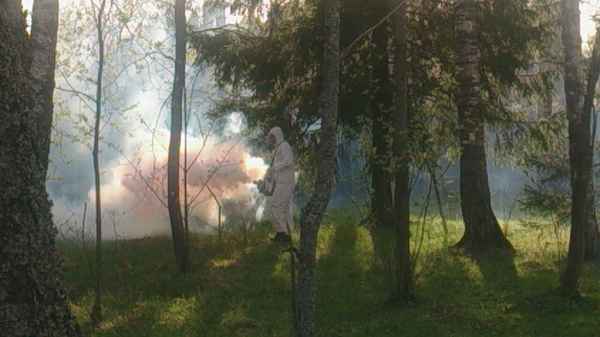 Фото объявления: Уничтожение лесных клещей и комаров обработка участка Гагарин в Гагарине