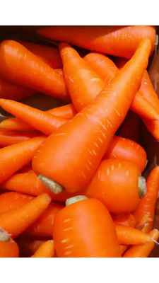 Фото объявления: Морковь в Зеленоградске