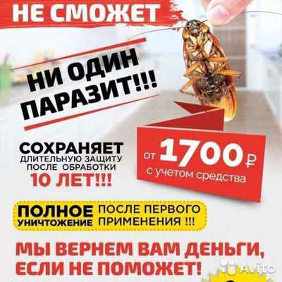 Фото объявления: Уничтожение тараканов,насекомых и грызунов в Новороссийске
