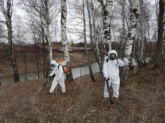 Фото объявления: Клещи и комары обработать уничтожение на участках в Заокском в Заокском