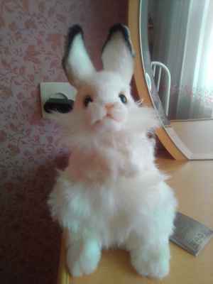 Фото объявления: Продаётся Белый Кролик Мягкая Игрушка 15х13х24см.  в Усть-Илимске