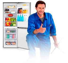 Фото объявления: Ремонт бытовых холодильников в Еврейской АО