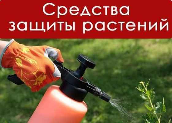 Фото объявления: Купим все виды удобрений в Новосибирске