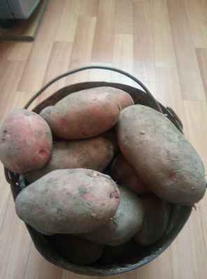 Фото объявления: Продам картофель  в Забайкальском крае