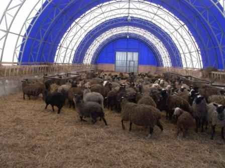 Фото объявления: Строительство тентовой овчарни в Рязани