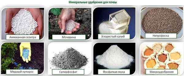 Фото объявления: Закупаем калийные удобрения в Новосибирске