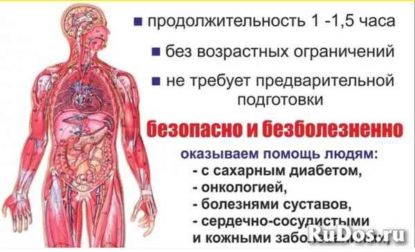 Фото объявления: Компьютерная диагностика организма в Новокузнецке