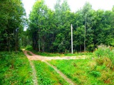 Участок 15 соток, в д. Алексино(Александровка), коммуникации, лес.