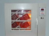 Автоматический инкубатор ИПХ-12(Петушок) на 120 яиц.Прямые поставки Волгасельмаш