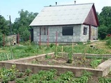 Продам дом под реконструкцию с участком в деревне