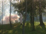 Уничтожение лесных клещей и комаров обработка участка Гагарин
