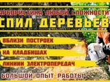 Благоустройство участка и расчистка от зарослей Воронеж