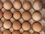 Домашние куриные яйца 