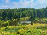 Лесной участок по Ярославскому шоссе    