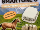 SmartOne C / GPS трекер для животных, транспорта и груза