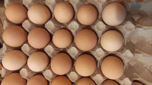 Фото объявления: Домашние куриные яйца  в Моздоке