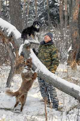 Фото объявления: Дрессировка собак-кинолог/инструктор в Казани